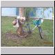 Jabiru Push Bike.jpg